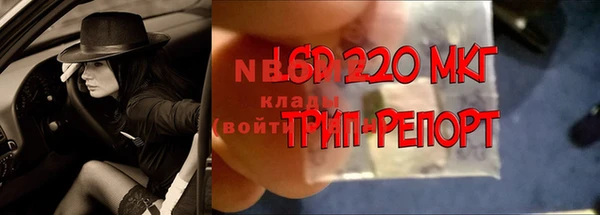 spice Приозерск