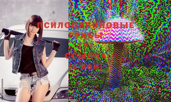 spice Приозерск