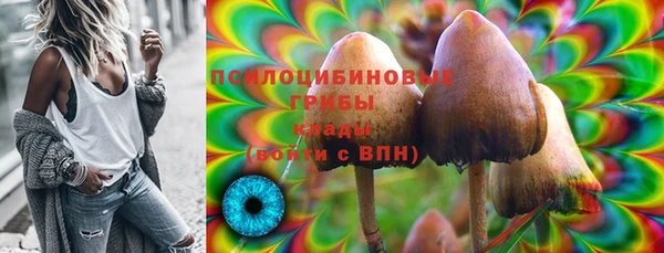 spice Приозерск